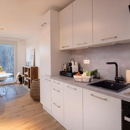 Apartmán Hermine, Black Forest Retreat, Mit Sonnenterrasse Baiersbronn