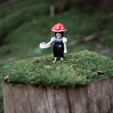 Hermine, Black Forest Retreat, Mit Sonnenterrasse * Baiersbronn