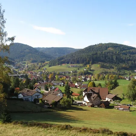 Apartamento Hermine, Black Forest Retreat, Mit Sonnenterrasse *