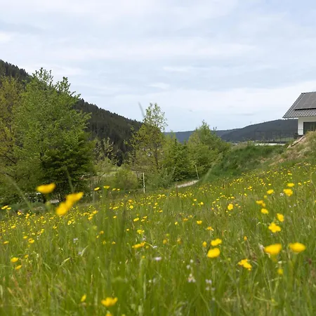 Hermine, Black Forest Retreat, Mit Sonnenterrasse Apartmán Baiersbronn