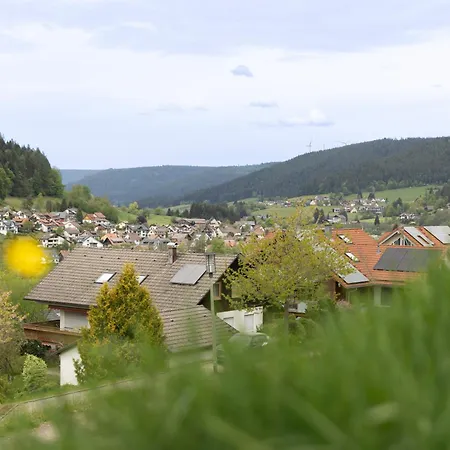 Hermine, Black Forest Retreat, Mit Sonnenterrasse * Baiersbronn