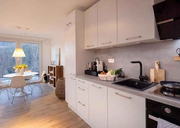 Lägenhet Hermine, Black Forest Retreat, Mit Sonnenterrasse Baiersbronn