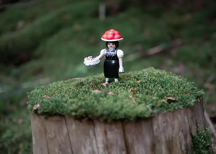 Hermine, Black Forest Retreat, Mit Sonnenterrasse * Baiersbronn