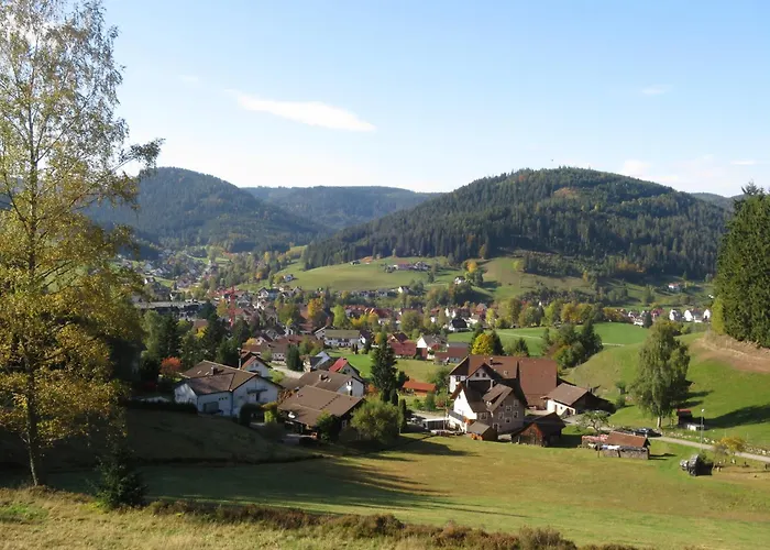 Lägenhet Hermine, Black Forest Retreat, Mit Sonnenterrasse *